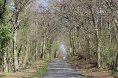 ALLÉE DES BOIS